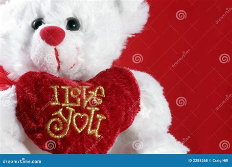 Awe Inspiring Collection Of Over 999 Teddy Bear Images With Love