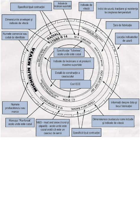 PDF Detalii Anvelope DOKUMEN TIPS