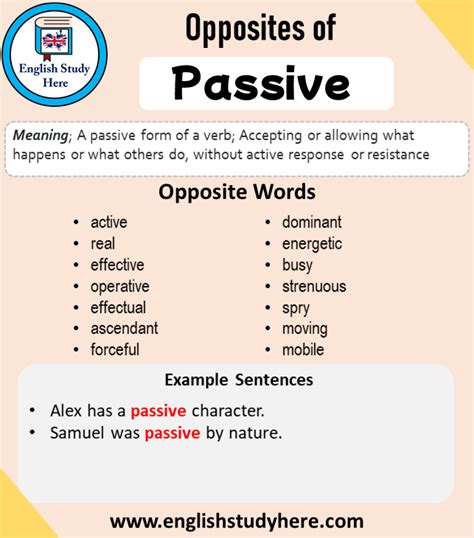 Opposite of Passive, Antonym of Passive, 24 Opposite Words For Passive - English Study Here