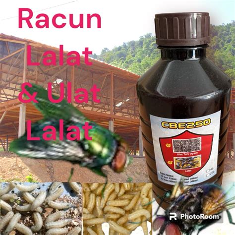 1lit Cbe 250 Racun Lalat And Ulat Lalat Kawasan Renan Ayam