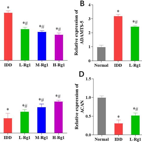 Effect Of Ginsenoside Rg On Extracellular Matrix Degradation In