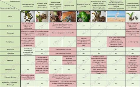 Таблица совместимости препаратов для обработки сада - фото