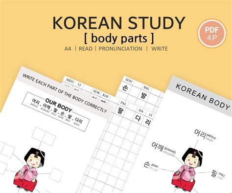 Korean Study Body Parts Hangul Printable Hangul Writing Worksheet