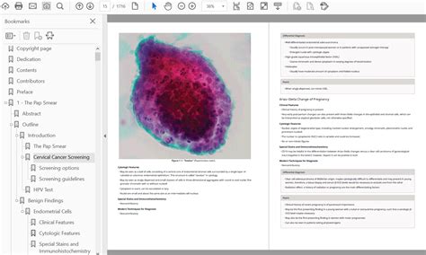 Differential Diagnosis In Cytopathology Rd Edition High Quality