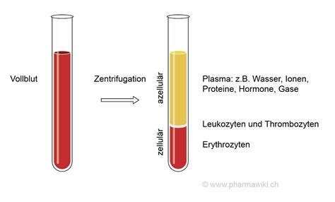 Pharmawiki Plasmakonzentration