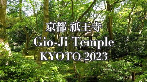 京都祇王寺の新緑 The fresh green of Gio ji Temple in Kyoto 2023 YouTube