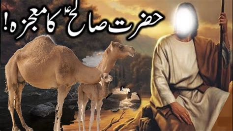 Hazrat Saleh A S Ke Ontni Ka Waqia Story Of Prophet Saleh As Camel