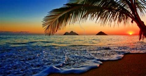 Hawaiian Beach Sunrise | Wallpapers Gallery