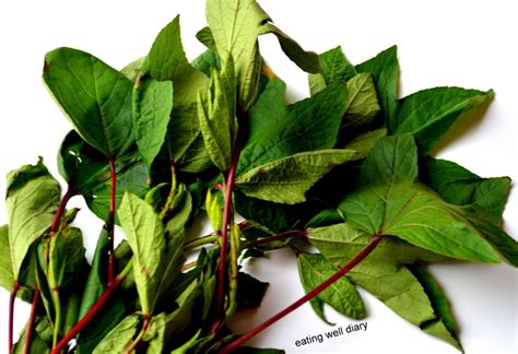 Gongura Leaves Chutney Or Thuvaiyal With A Healthy Tip Dft Eating