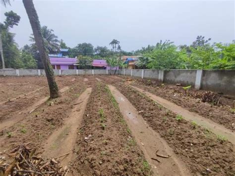 Residential Land Plot For Sale In Aluva Kochi Sq Yard