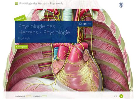 Physiologie Des Herzens Physiologie Knowledgeworker Create