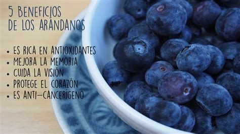 Descubre los 5 beneficios más importantes de los arándanos blueberries