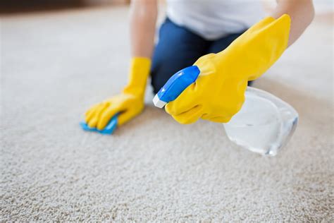 How to Clean a Carpet Without a Carpet Cleaner - 5 Effective Ways | Home Daily