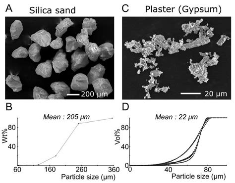 A Scanning Electron Microscope Sem Image Of Mam1st 300 Silica Sand