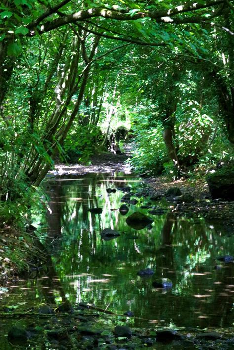 Around Oldhay Brook Old Hay Brook Martin Elliss Flickr