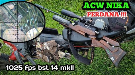 Berburu Perdana Unit Acw Nika Di Padukan Dengan Dr Slug A