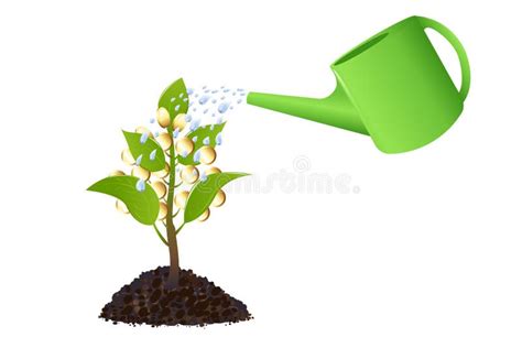 Money Plant With Watering Can Vector Stock Vector Illustration Of