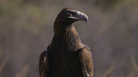 Nature & wildlife in the NT | Northern Territory, Australia