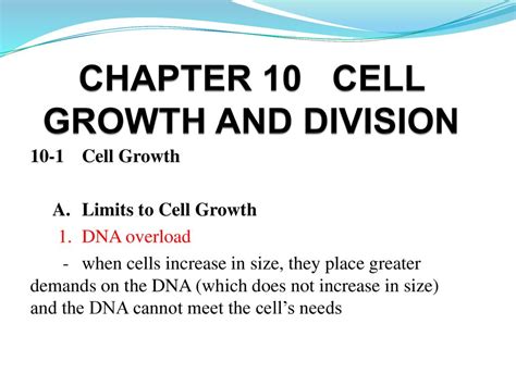 Chapter 10 Cell Growth And Division Ppt Download