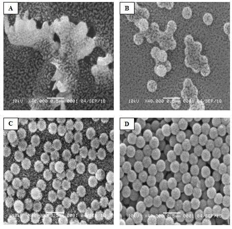 gambar  gambar sem  sampel   vibrasi  vibrasi