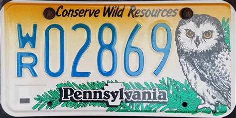 Pennsylvania License Plate Image