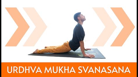 Urdhva Mukha Svanasana Perro Mirando Hacia Arriba Youtube