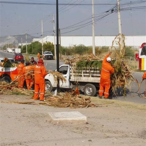 Otorgan Constante Mantenimiento Constante A Palmas De La Ciudad