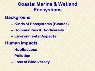 Ppt Coastal Marine Wetland Ecosystems Powerpoint Presentation