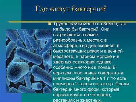 Бактерии: строение и жизнедеятельность - презентация онлайн