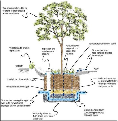 Landarchs Rain Garden Design Rain Garden Stormwater