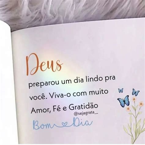 Bom dia Gratidão Msg Bom Dia on Instagram Tenha um lindo e