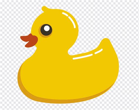 Gummierte Ente Entlein Schnabel Vogel Computer Icons Png PNGWing