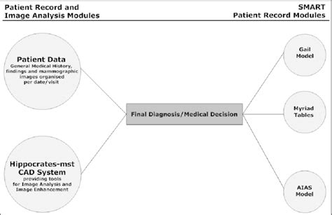 Overview Of The Computer Assisted Diagnosis Process Download Scientific Diagram