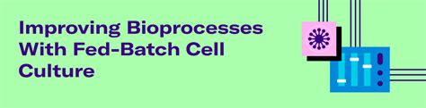 Improving Bioprocesses With Fed Batch Cell Culture Scientific