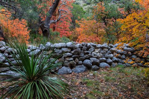 Fall Colors in McKittrick Canyon - Big Bend Chat