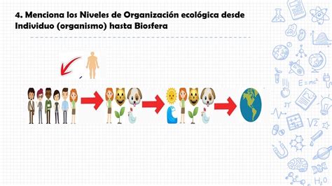 GUÍA N6 CIENC 5 VÍDEO reconoce los niveles de organización ecológica