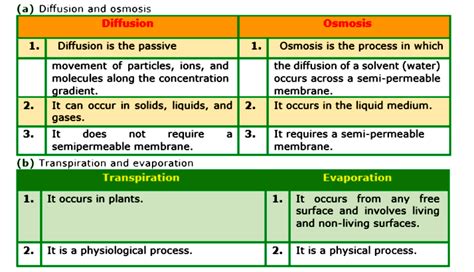 Osmosis Diffusion Difference