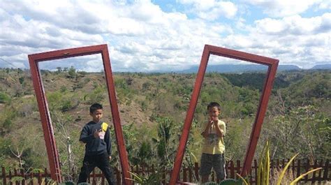 Tempat Wisata Paling Hits Dan Instagramable Di Situbondo Buat Liburan