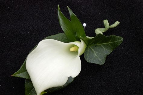 White Calla Lily Boutonniere Calla Lily Boutonniere Calla Lily