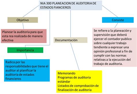 Normas Internacionales de Auditoría 2016 NIA 300 PLANIFICACIÓN DE LOS