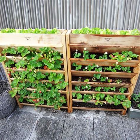 Cedar Vertical Garden Vertical Planter Pallet Planter Vertical