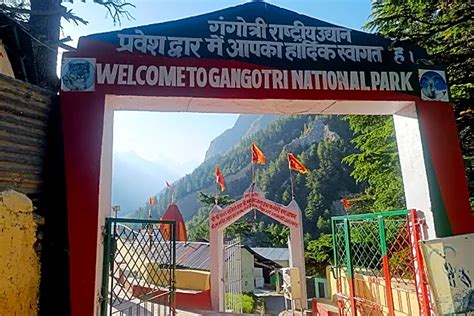 Offbeat Placeshomestaysgangotri National Park Places To Visit Gangotri