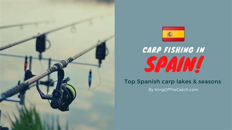 Best Carp Fishing In Spain Location Guide Vamos