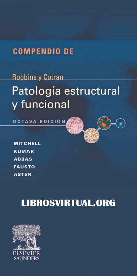 Patolog A Estructural Y Funcional Va Edici N Richard N Mitchell