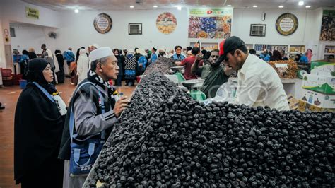 Wisata Kebun Kurma Madinah Antara Foto