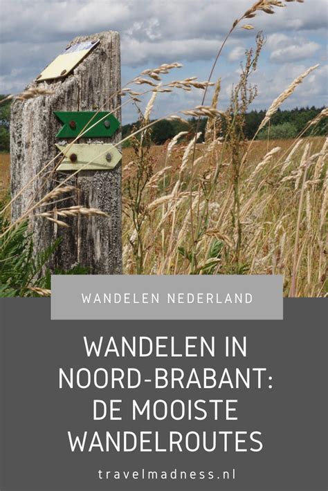 Wandelen In Noord Brabant De Mooiste Wandelroutes Artofit