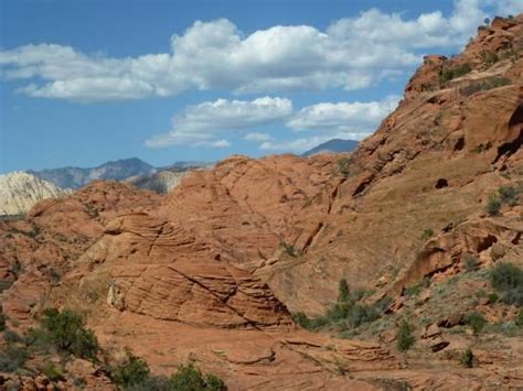 Red Cliffs National Conservation Area