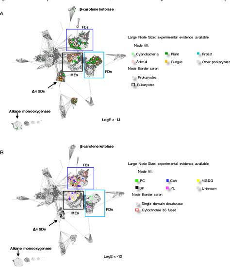 Figure From Classification And Substrate Head Group Specificity Of