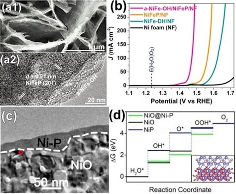 A1 SEM And A2 High Resolution TEM Images Of NiFeP A NiFe OH