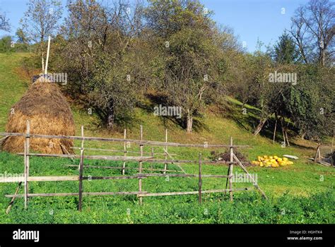 Maramures An Isolated Carpathian Region Of Romania Sheaves Of Hay